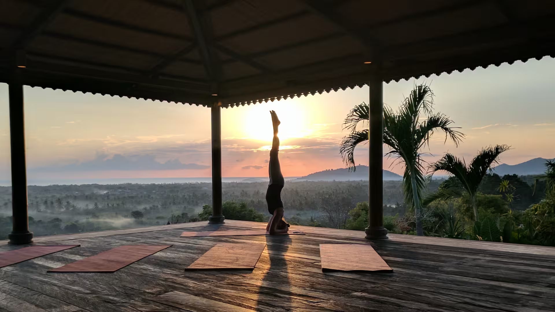 Satori Elite - Alchemy, Bali